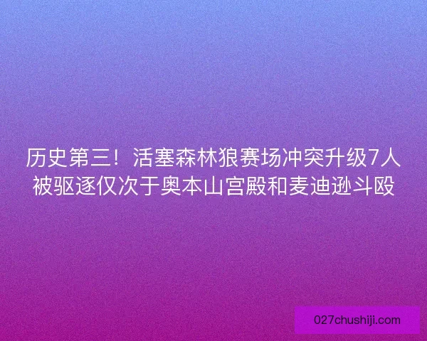 历史第三!活塞森林狼赛场冲突升级7人被驱逐仅次于奥本山宫殿和麦迪逊斗殴 历史第三!活塞森林狼赛场冲突升级7人被驱逐仅次于奥本山宫殿和麦迪逊斗殴
